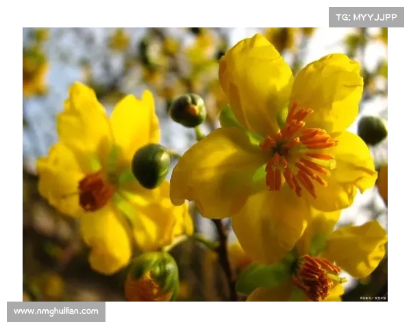 小满时节五大自然体验感悟大揭秘尽享夏日之美
